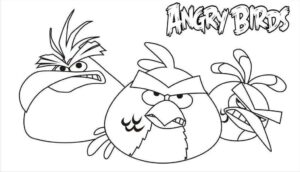 Desenho de Angry Birds Desenho Colorir Imprimir 15