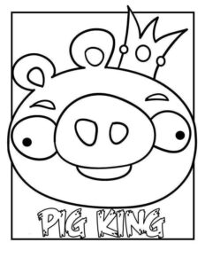 Desenho de Angry Birds Desenho Colorir Imprimir 29