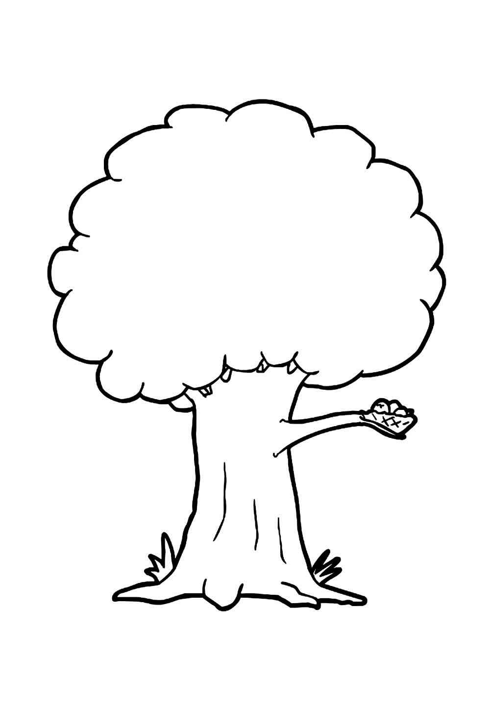 Desenho de Arvore Desenho Colorir Imprimir 17