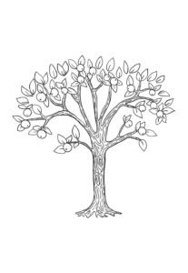 Desenho de Arvore Desenho Colorir Imprimir 21