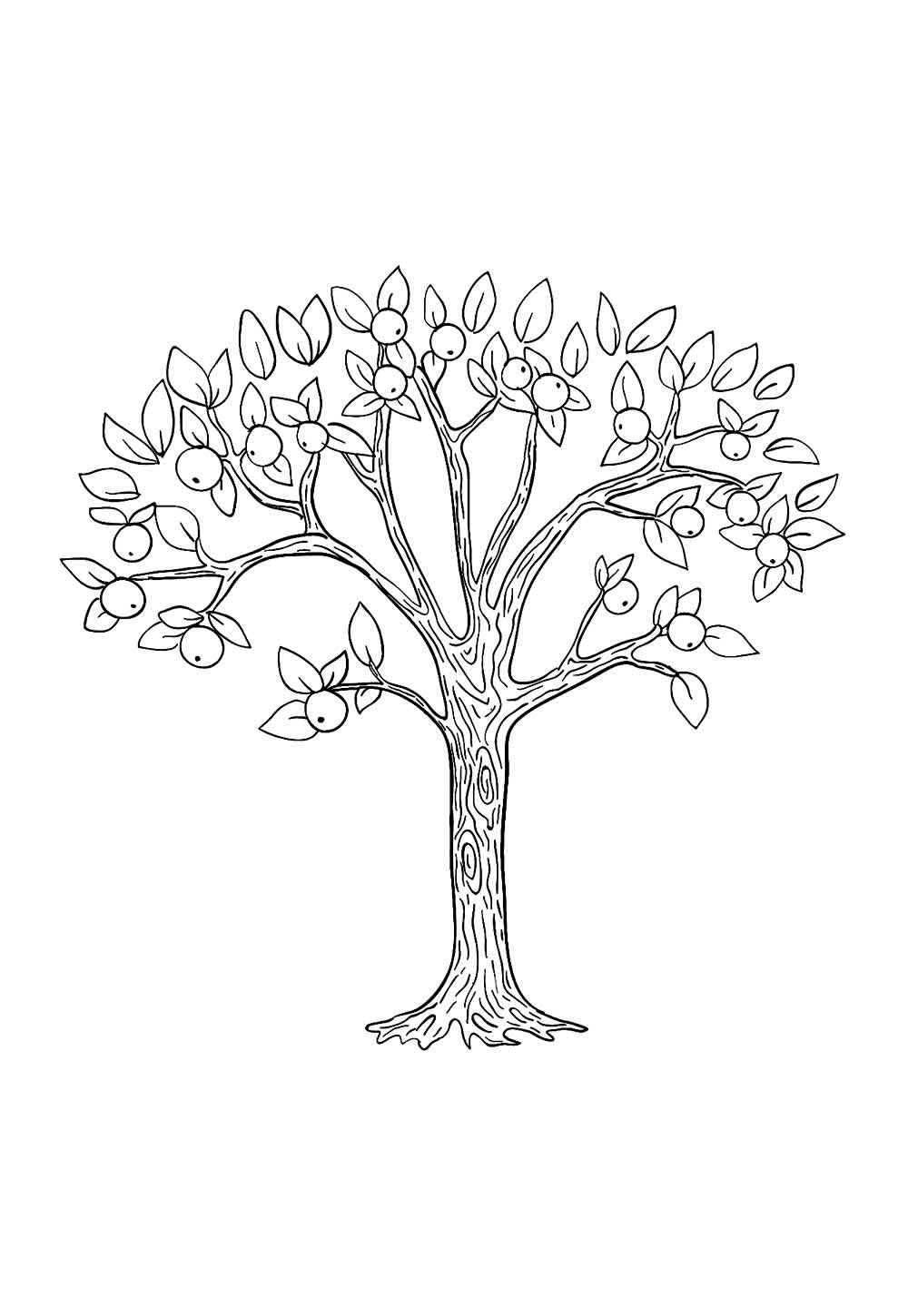 Desenho de Arvore Desenho Colorir Imprimir 21