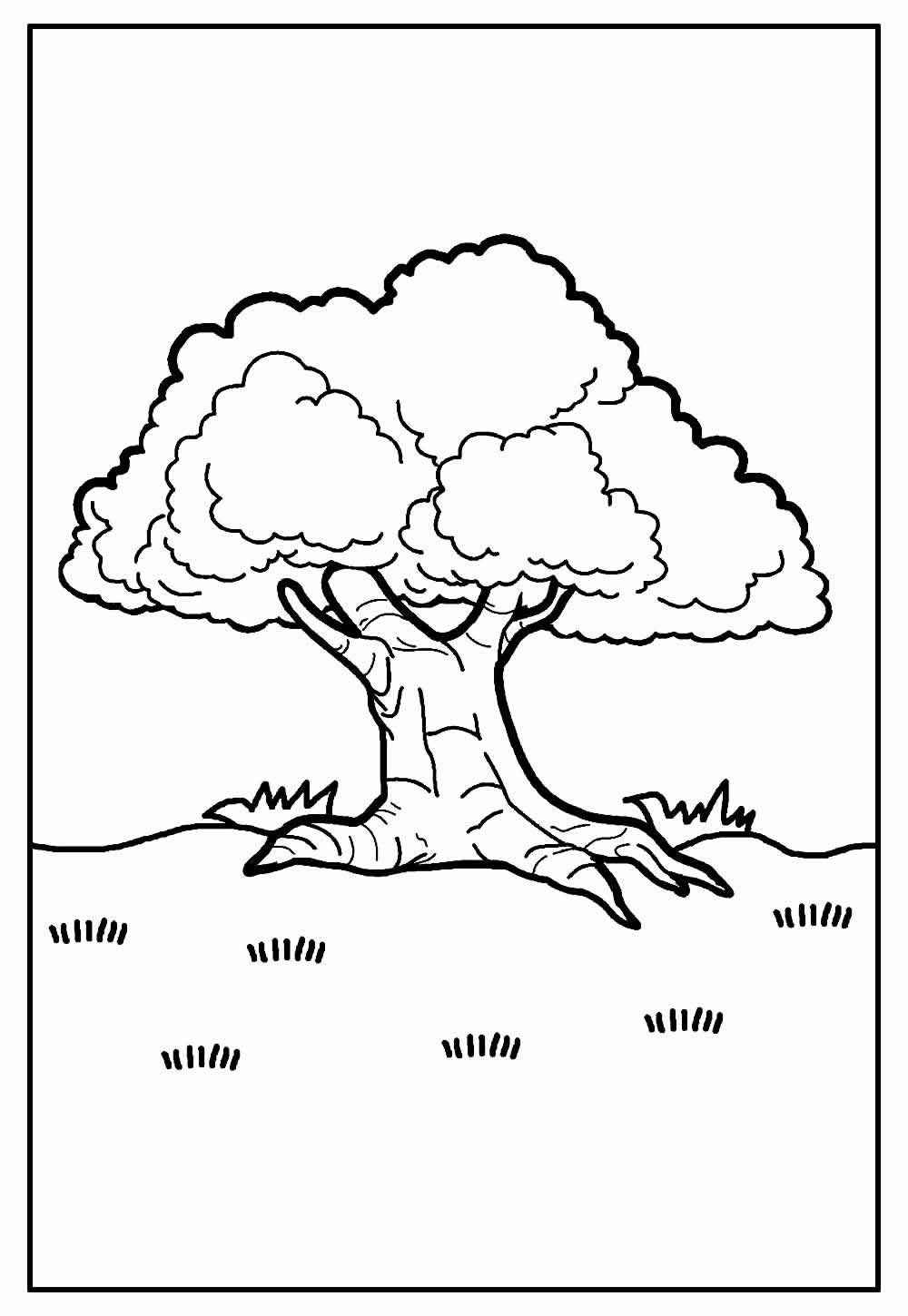 Desenho de Arvore Desenho Colorir Imprimir 24