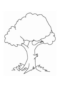 Desenho de Arvore Desenho Colorir Imprimir 25