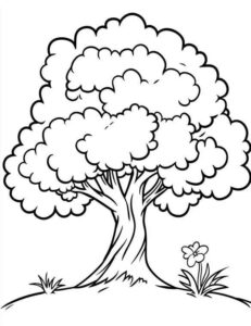 Desenho de Arvore Desenho Colorir Imprimir 28