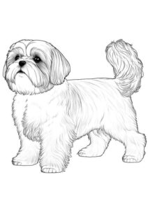 Desenho de Cachorros Desenho Colorir Imprimir 046