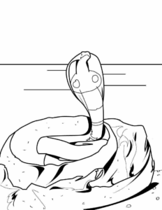 Desenho de Cobra Desenho Colorir Imprimir 02