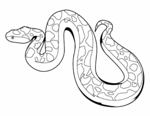 Desenho de Cobra Desenho Colorir Imprimir 06