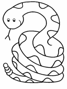 Desenho de Cobra Desenho Colorir Imprimir 08