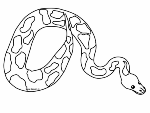 Desenho de Cobra Desenho Colorir Imprimir 10