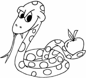 Desenho de Cobra Desenho Colorir Imprimir 11