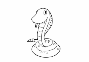 Desenho de Cobra Desenho Colorir Imprimir 13