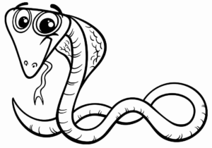 Desenho de Cobra Desenho Colorir Imprimir 23