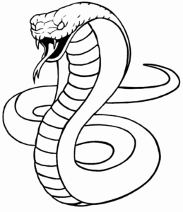 Desenho de Cobra Desenho Colorir Imprimir 28