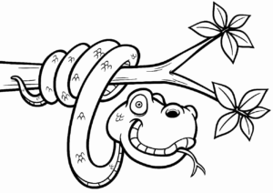Desenho de Cobra Desenho Colorir Imprimir 30