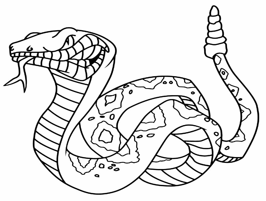 Desenho de Cobra Desenho Colorir Imprimir 32