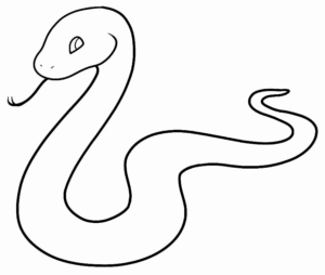 Desenho de Cobra Desenho Colorir Imprimir 36