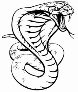 Desenho de Cobra Desenho Colorir Imprimir 38