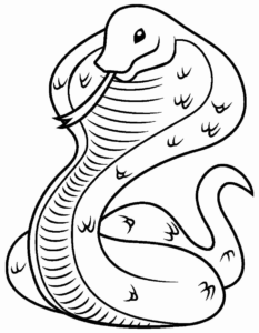 Desenho de Cobra Desenho Colorir Imprimir 40