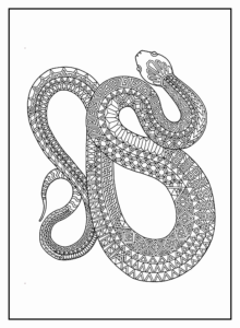 Desenho de Cobra Desenho Colorir Imprimir 42