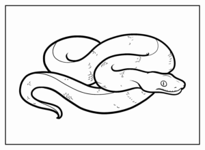 Desenho de Cobra Desenho Colorir Imprimir 43