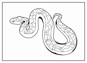 Desenho de Cobra Desenho Colorir Imprimir 44