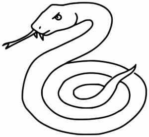 Desenho de Cobra Desenho Colorir Imprimir 45