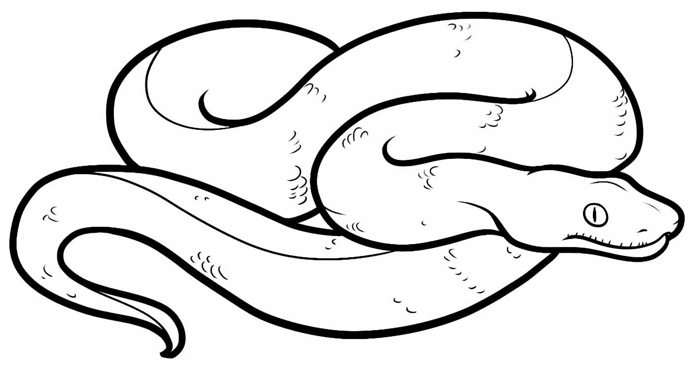 Desenho de Cobra Desenho Colorir Imprimir 46