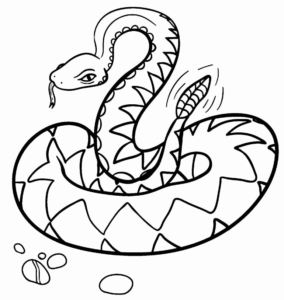 Desenho de Cobra Desenho Colorir Imprimir 51