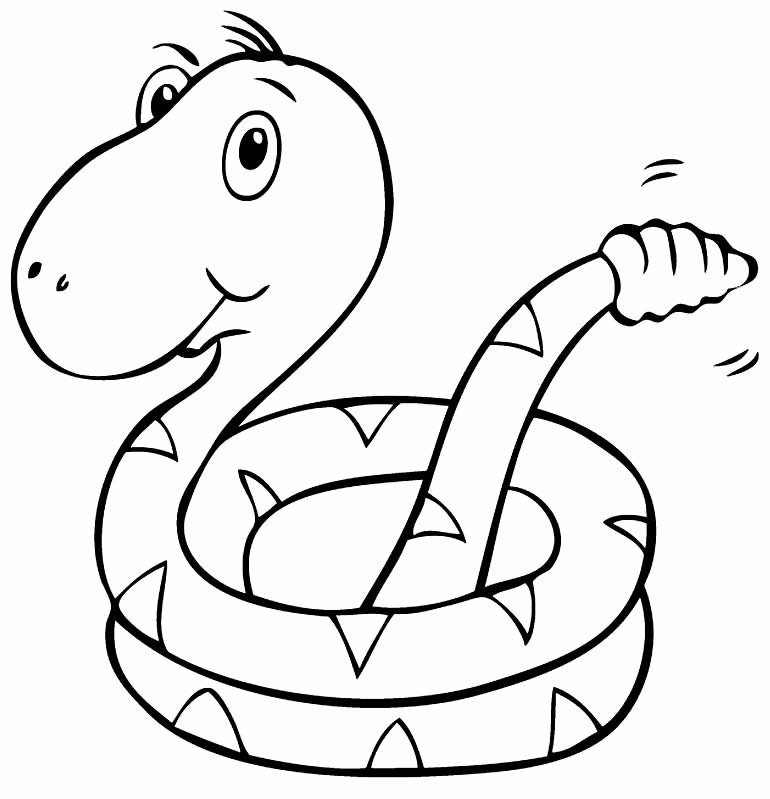 Desenho de Cobra Desenho Colorir Imprimir 53