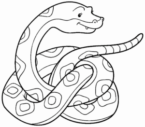 Desenho de Cobra Desenho Colorir Imprimir 54