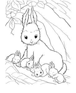 Desenho de Coelhos Desenho Colorir Imprimir 29