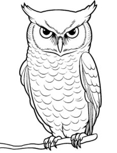 Desenho de Corujas Desenho Colorir Imprimir 09