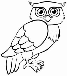Desenho de Corujas Desenho Colorir Imprimir 24