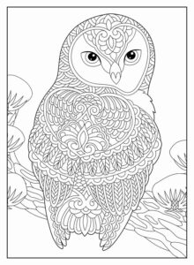 Desenho de Corujas Desenho Colorir Imprimir 26