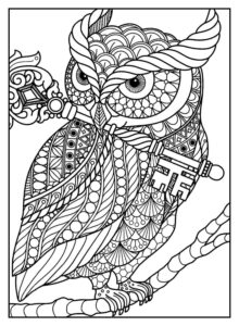 Desenho de Corujas Desenho Colorir Imprimir 29