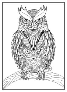 Desenho de Corujas Desenho Colorir Imprimir 30