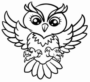 Desenho de Corujas Desenho Colorir Imprimir 39