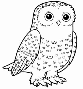 Desenho de Corujas Desenho Colorir Imprimir 40