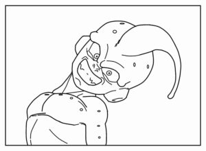 Desenho de Desenho De Animes Para Colorir 5
