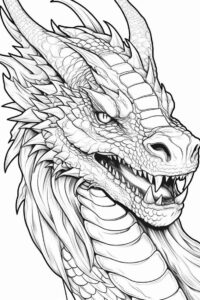 Desenho de Dragao Desenho Colorir Imprimir 22