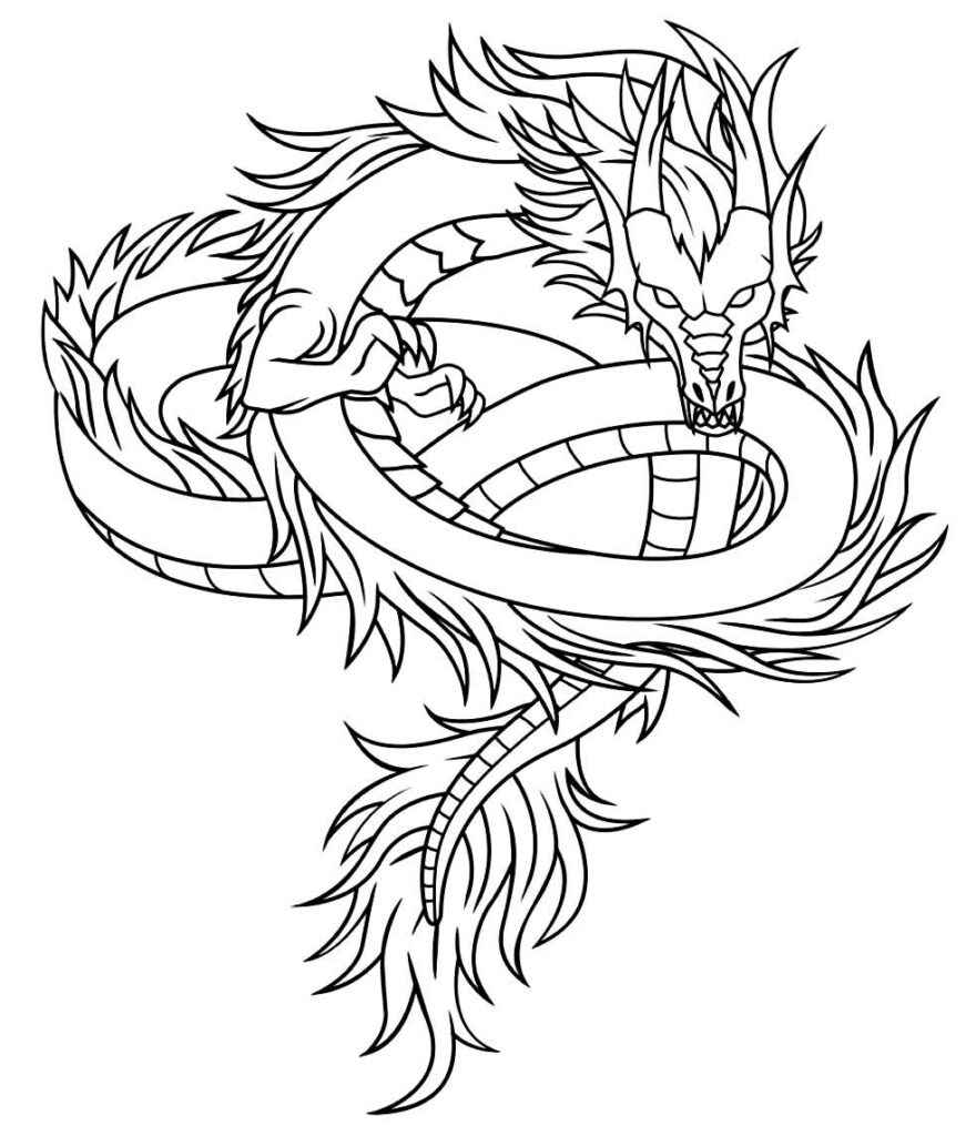 Desenho de Dragao Desenho Colorir Imprimir 66
