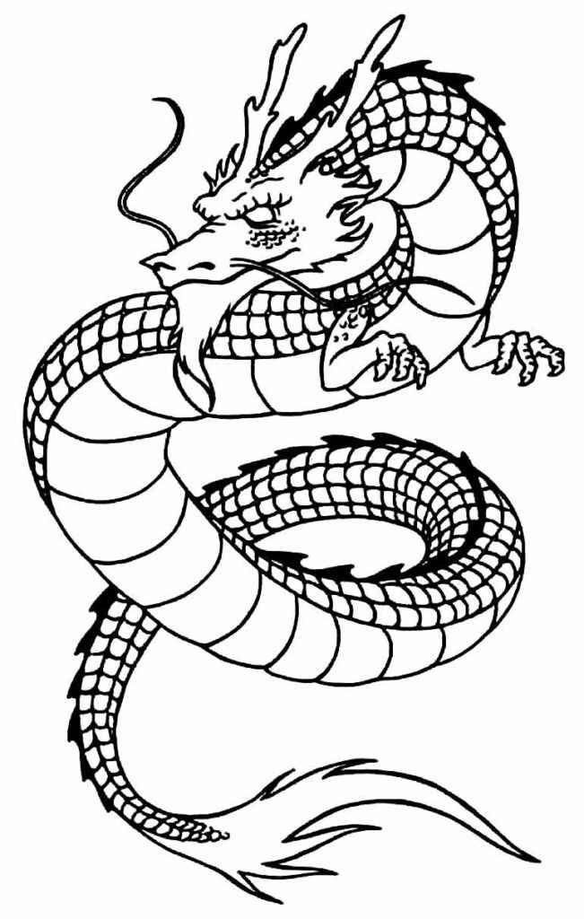 Desenho de Dragao Desenho Colorir Imprimir 67
