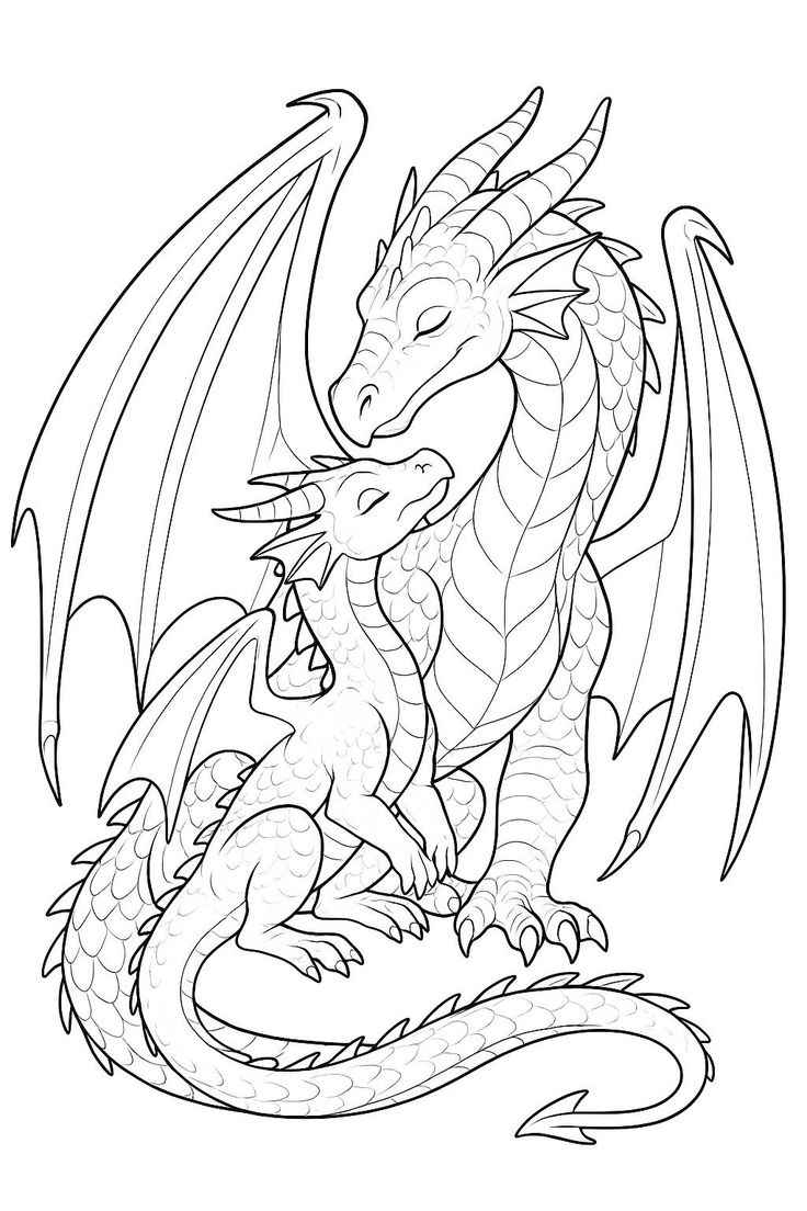 Desenho de Dragao Desenho Colorir Imprimir 75