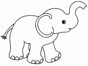 Desenho de Elefante Desenho Colorir Imprimir 13