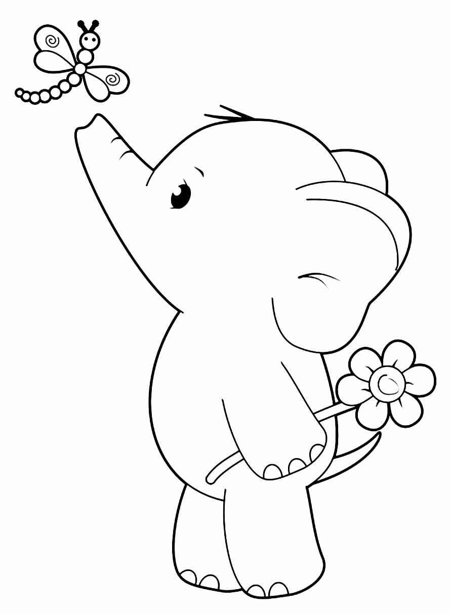 Desenho de Elefante Desenho Colorir Imprimir 17