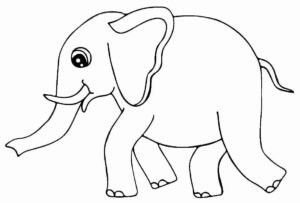Desenho de Elefante Desenho Colorir Imprimir 20