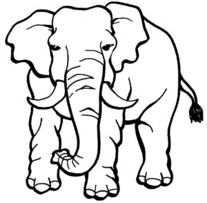 Desenho de Elefante Desenho Colorir Imprimir 47