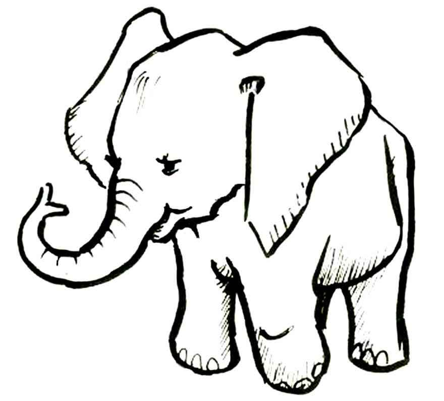 Desenho de Elefante Desenho Colorir Imprimir 49