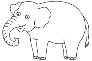 Desenho de Elefante Desenho Colorir Imprimir 52
