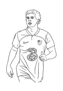 Desenho de Flamengo Desenho Colorir Imprimir 09